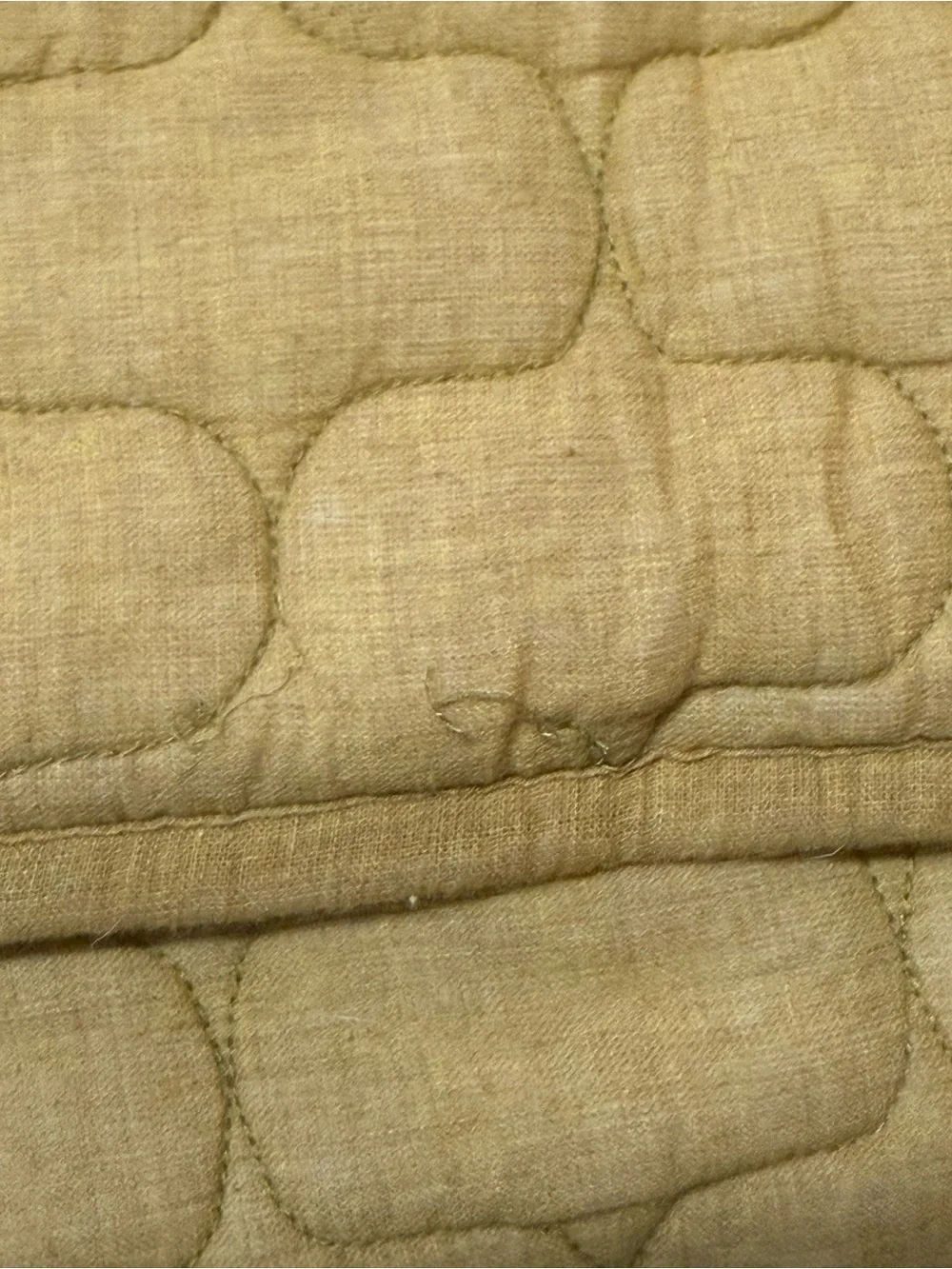 Crate&Barrel 20x26 Mustard Yellow Standard Sham pillowcase